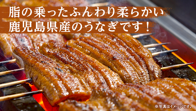 うなぎや鹿児島産レトルトパウチ