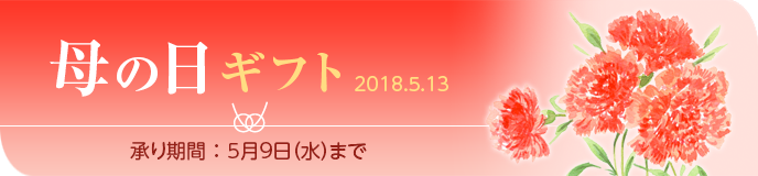 母の日ギフト