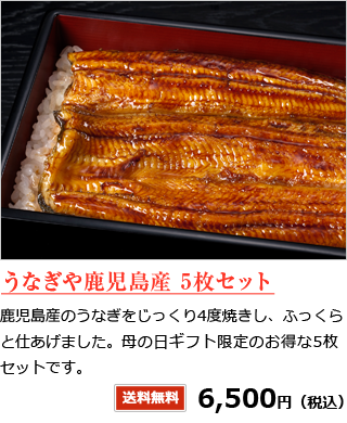 うなぎや鹿児島産