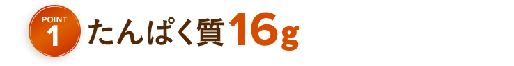 POINT1 たんぱく質16g