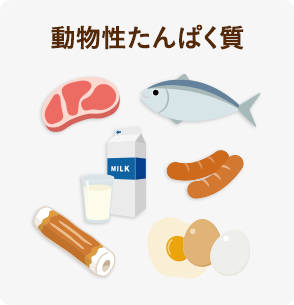動物性たんぱく質