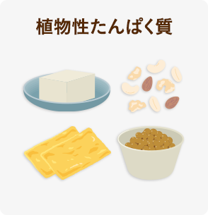 植物性たんぱく質
